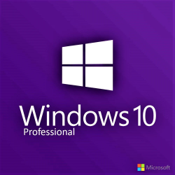 Windows 10 Professional-Lizenz