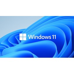 Windows 11 Professional-Lizenz