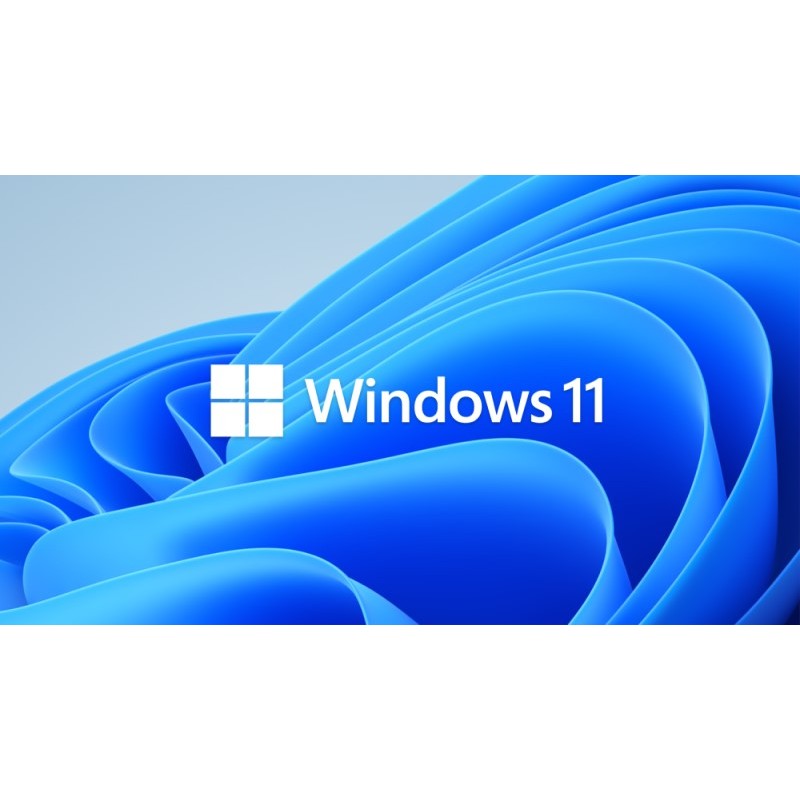 Windows 11 Professional-Lizenz
