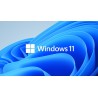 Windows 11 Professional-Lizenz