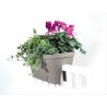 Cvetlično korito MONACO za ograjo
